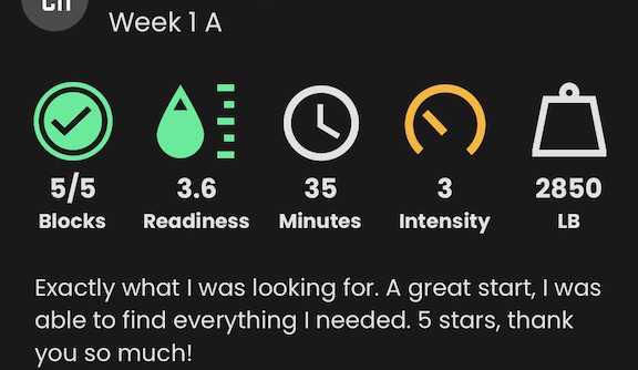 personal training online client